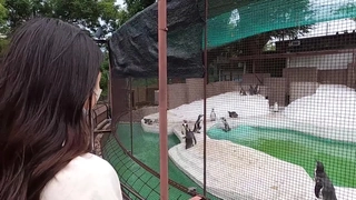[换脸AI区] Al换脸袁冰妍