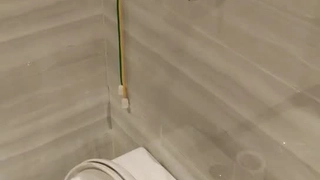 大屁股前女友，叫声可射