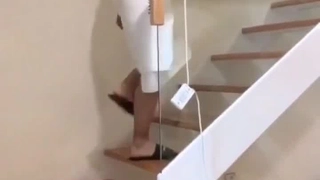二零二三七月三号_迷人的花蝴蝶