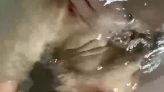 你们喜欢的高跟鞋，安排！请点赞200，感谢大家